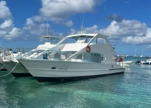 Party Boat Isla Saona Catamaran