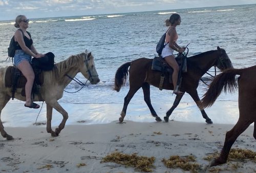 Visitas guiadas a caballo en Punta Cana