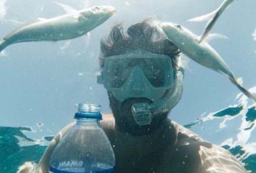 Excursión a Isla Catalina con snorkel