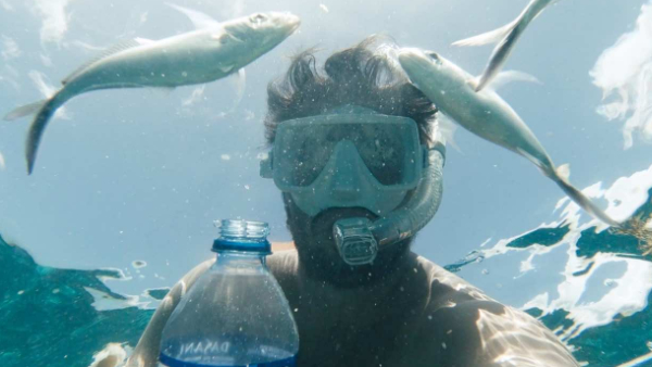 Excursión a Isla Catalina con snorkel