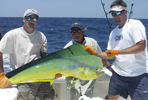 Pesca de Altura en Punta Cana