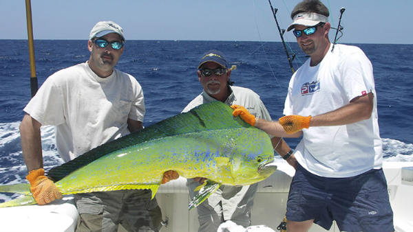 Pesca de Altura en Punta Cana